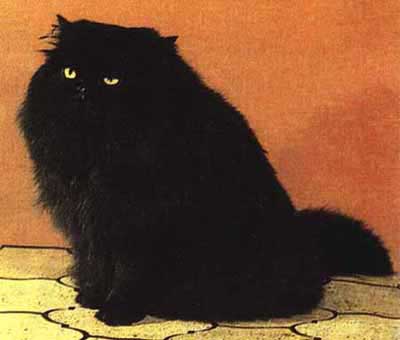 Chat noir